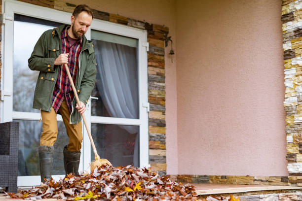 Best Electronics Removal Services  in Mapleton, IA